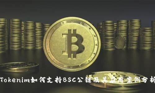 Tokenim如何支持BSC公链及其应用案例分析