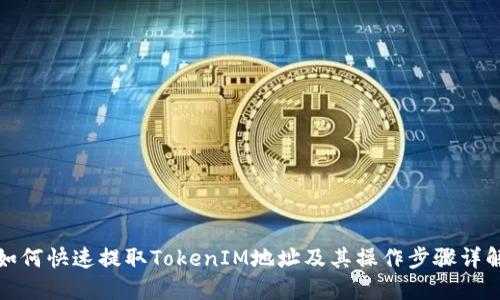 如何快速提取TokenIM地址及其操作步骤详解