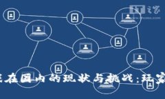 : 区块链游戏在国内的现状与挑战：玩家该如何参