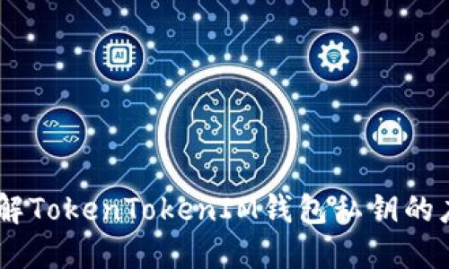 建议：深入理解TokenTokenIM钱包私钥的应用与安全性