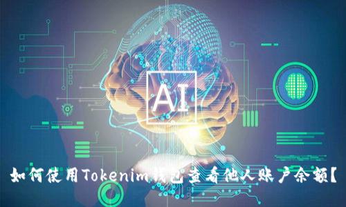 如何使用Tokenim钱包查看他人账户余额？