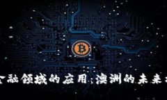 区块链在金融领域的应用：澳洲的未来机遇与挑