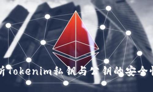 全面解析Tokenim私钥与公钥的安全性与应用