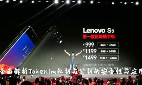 全面解析Tokenim私钥与公钥的安全性与应用