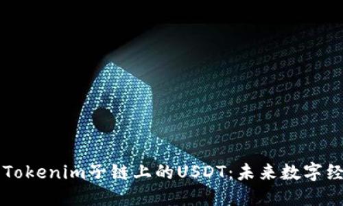深入了解Tokenim子链上的USDT：未来数字经济的桥梁