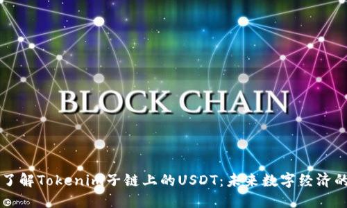 深入了解Tokenim子链上的USDT：未来数字经济的桥梁
