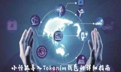 小怪狐导入Tokenim钱包的详细指南