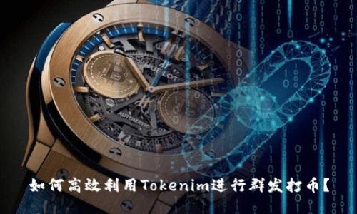如何高效利用Tokenim进行群发打币？