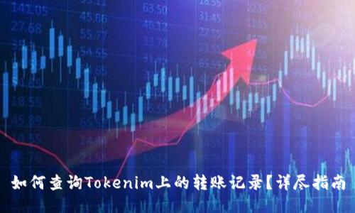 如何查询Tokenim上的转账记录？详尽指南