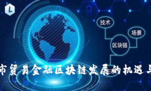 深圳市贸易金融区块链发展的机遇与挑战