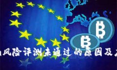 Tokenim风险评测未通过的原因及应对策略